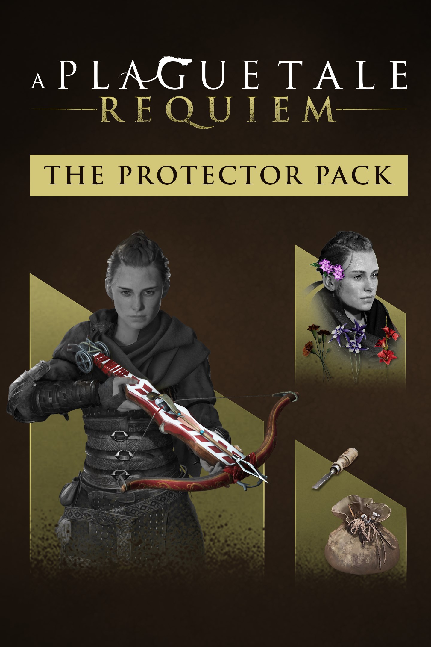 A Plague Tale: Requiem - Protector Pack (DLC)