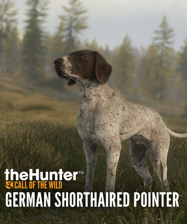 theHunter: Call of the Wild™ - German Shorthaired Pointer game cover