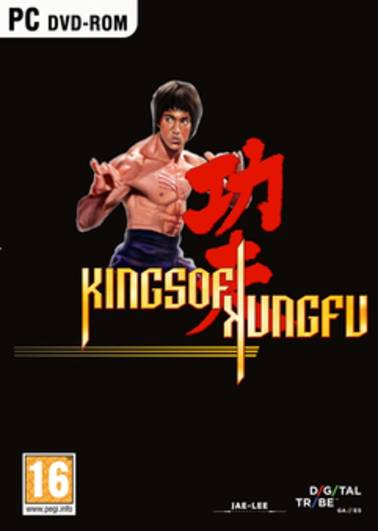 Kings of Kung Fu game cover