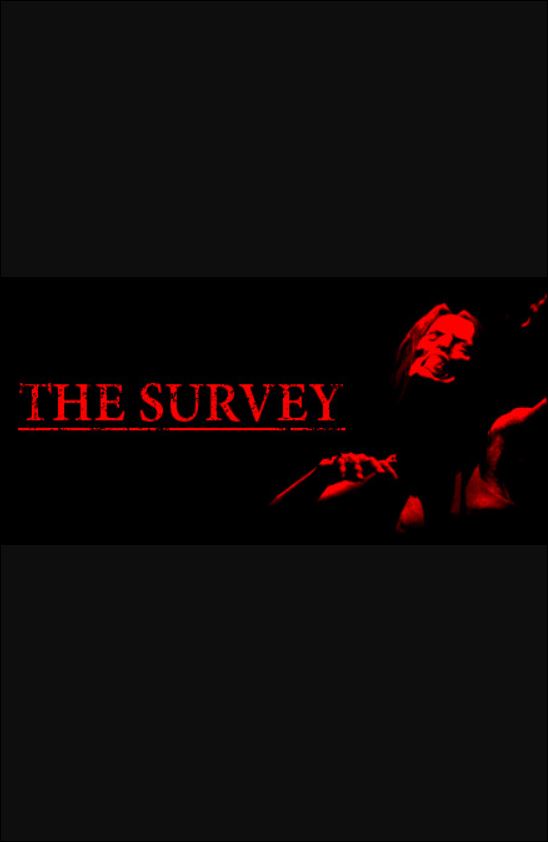 The Survey game cover