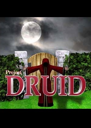 Project Druid - 2D Labyrinth Explorer- game cover