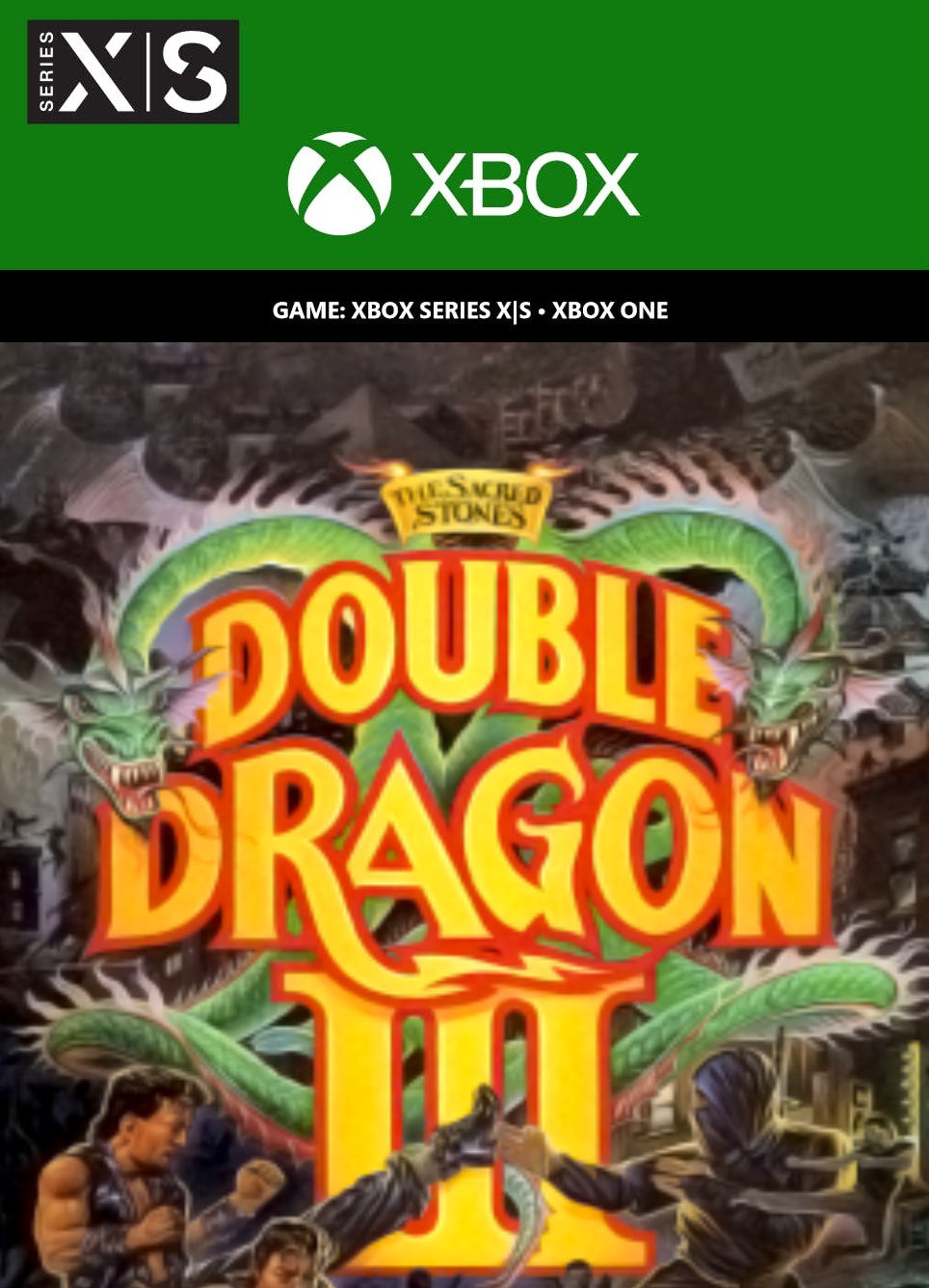 DOUBLE DRAGON Ⅲ: The Sacred Stones