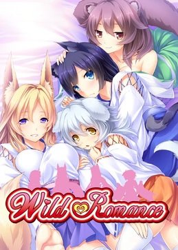 Wild Romance game cover
