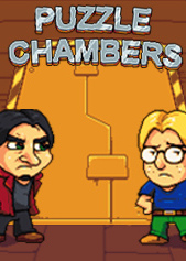 Puzzle Chambers game cover