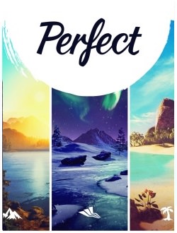 Perfect game cover