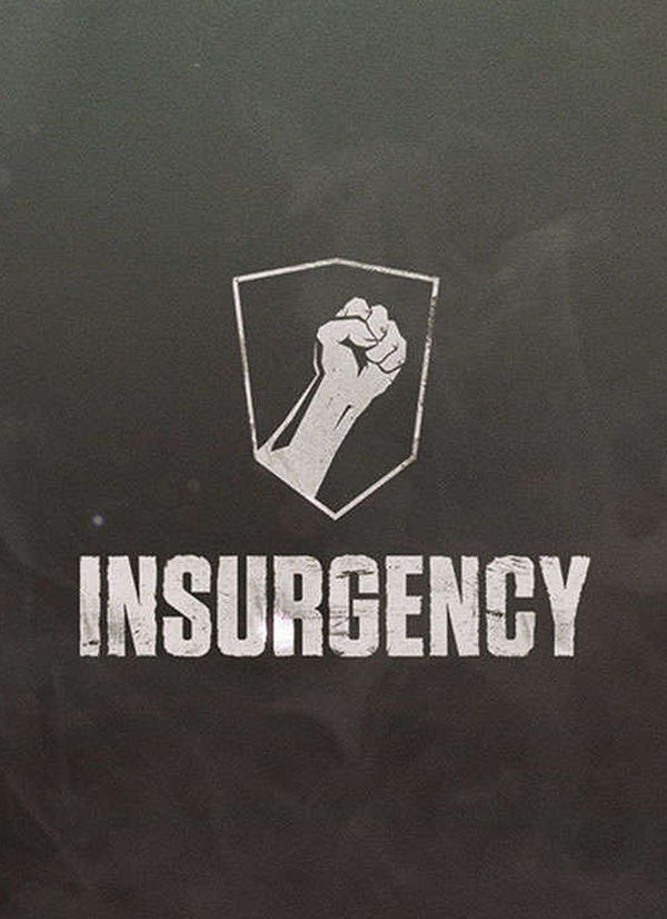 Insurgency game cover