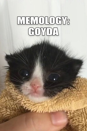 MEMOLOGY: GOYDA game cover