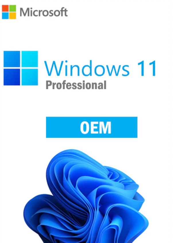 Microsoft Windows 11 OEM Professional