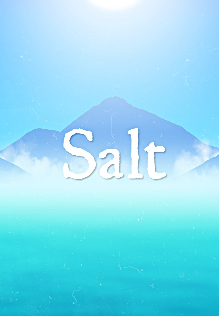 Salt game cover