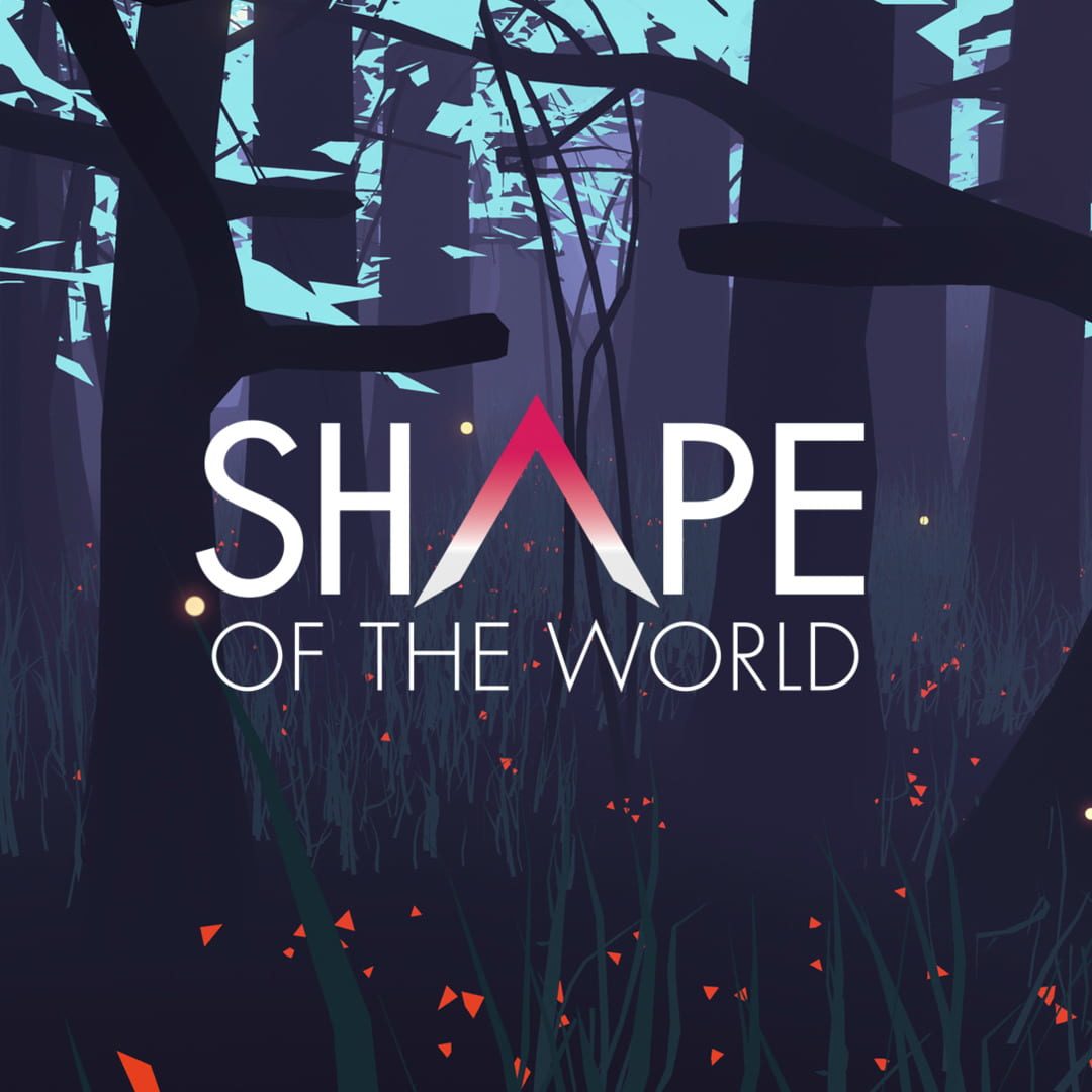 Shape of the World