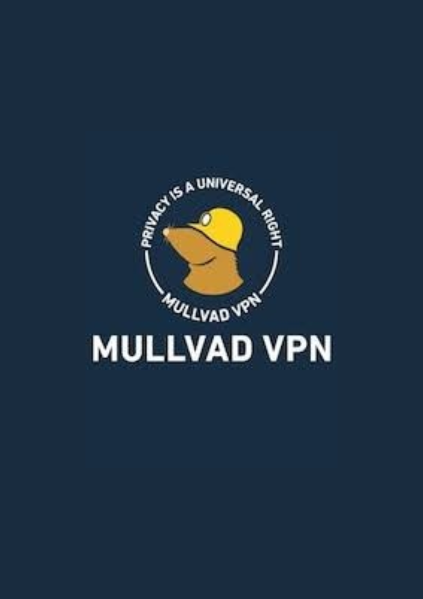 Mullvad VPN 5 Devices 6 Months