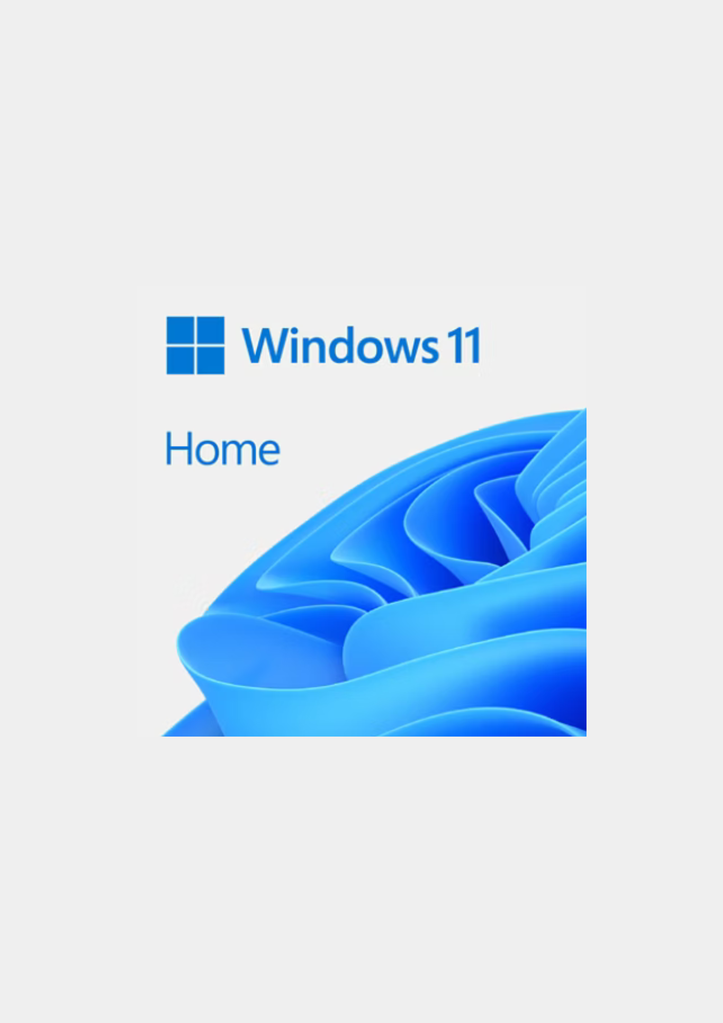 Windows (ENEBA)
