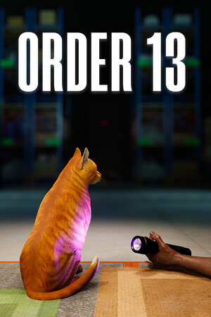 ORDER 13 game cover