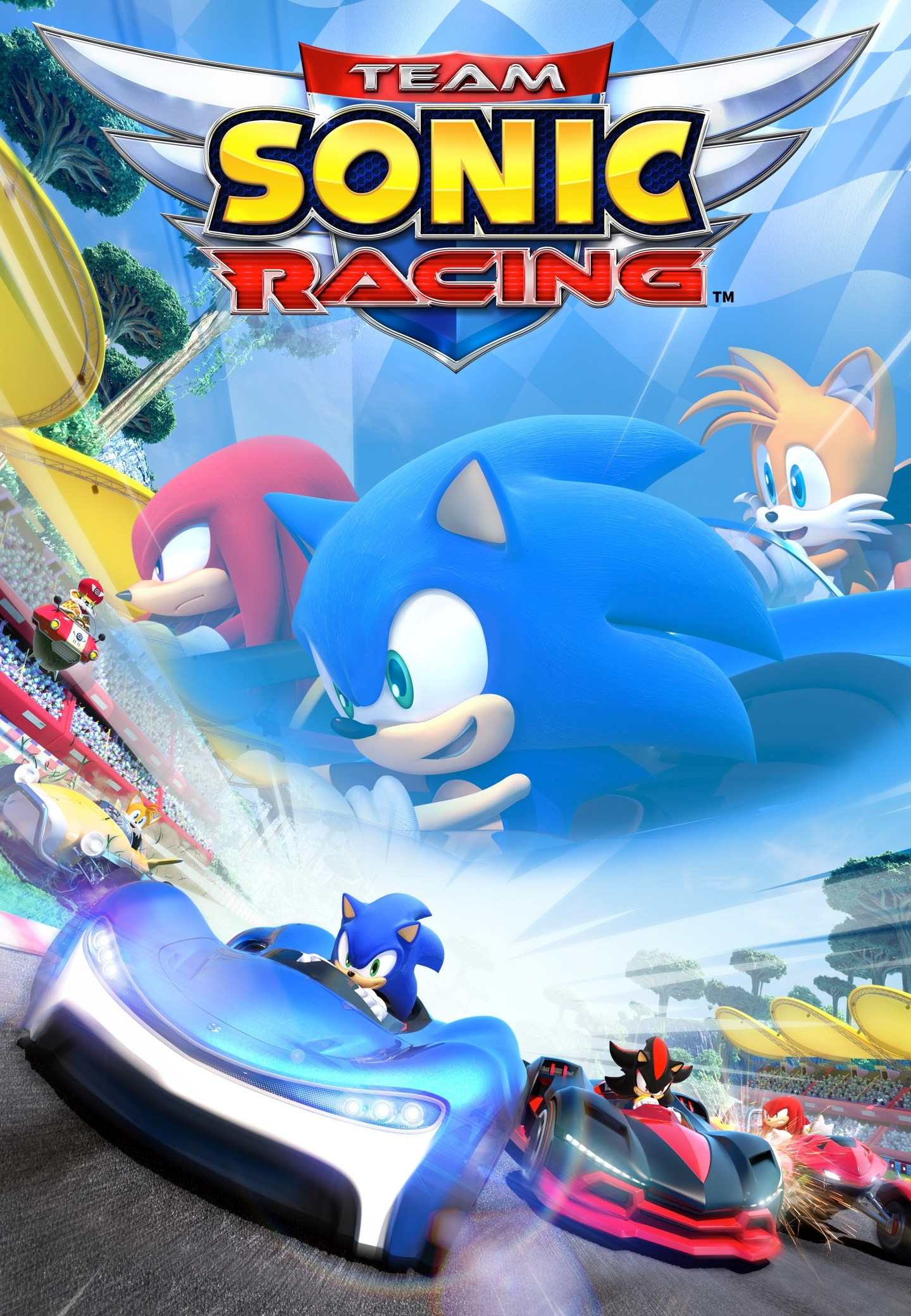 Team Sonic Racing