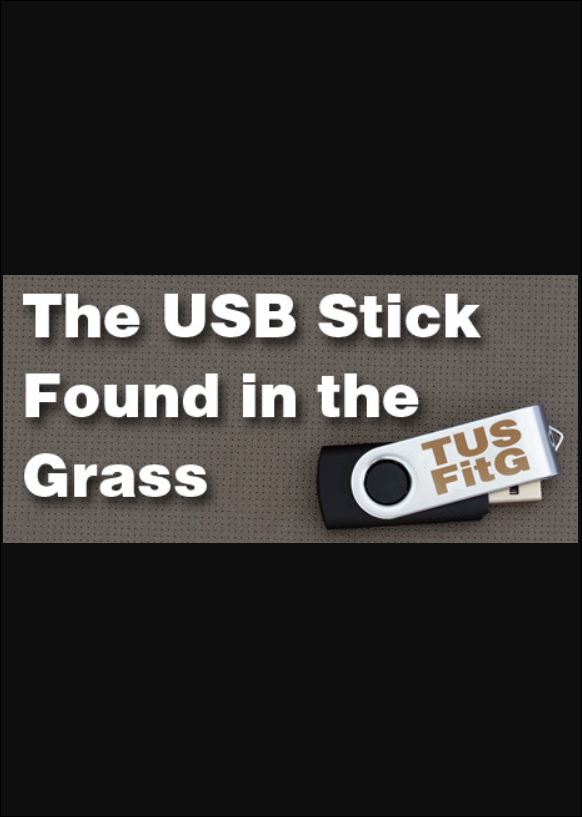 The USB Stick Found in the Grass game cover