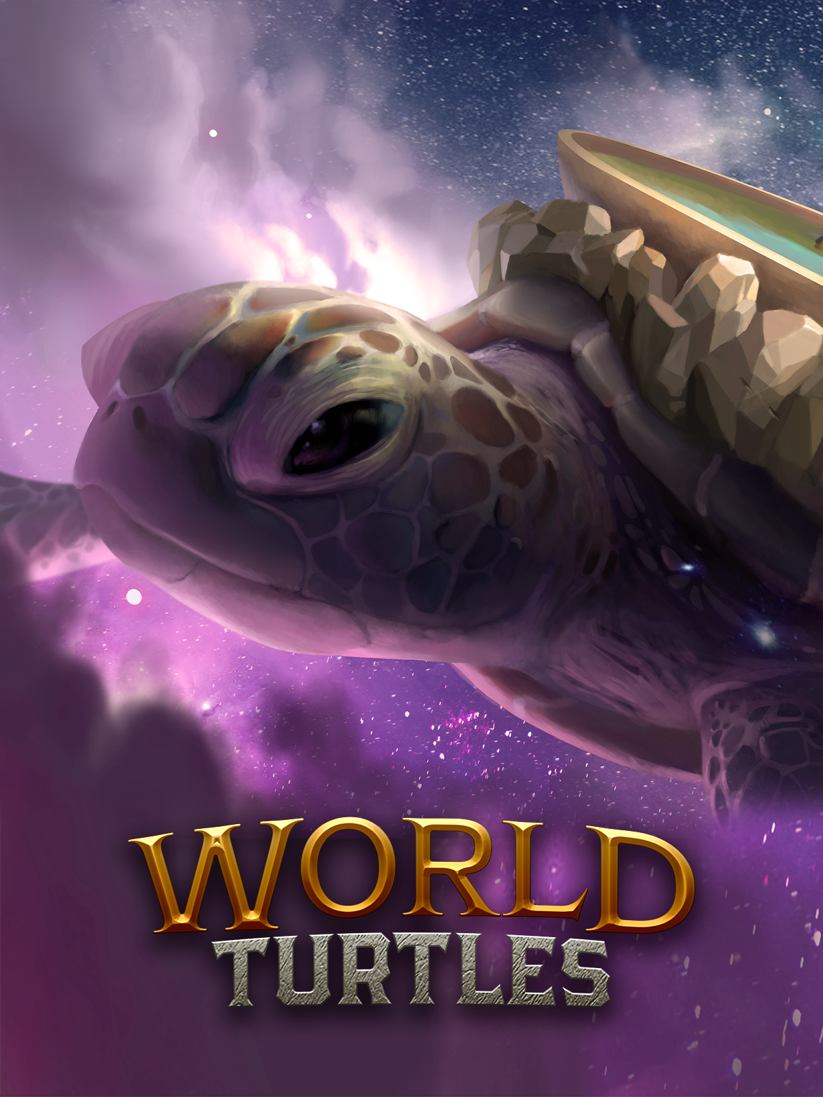 World Turtles game cover