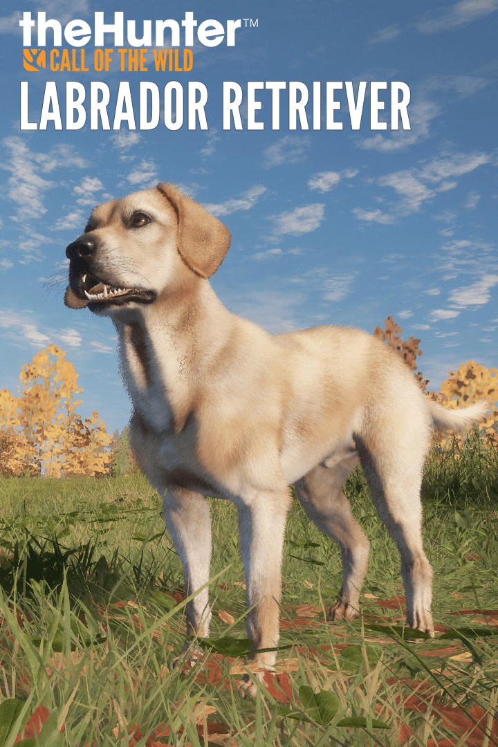 theHunter: Call of the Wild™ - Labrador Retriever (DLC)
