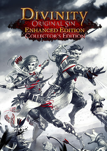 Divinity: Original Sin - Enhanced Edition Collector's Edition
