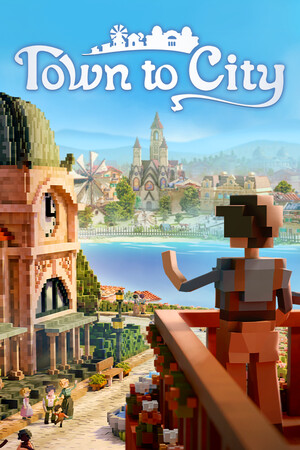 Town to City game cover