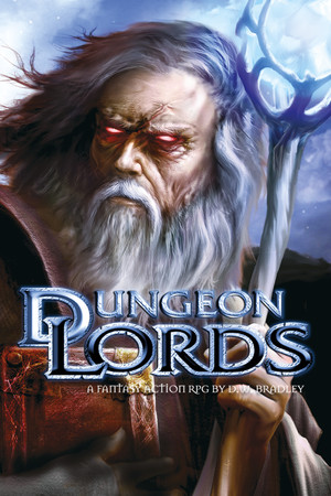 Dungeon Lords Steam Edition game cover