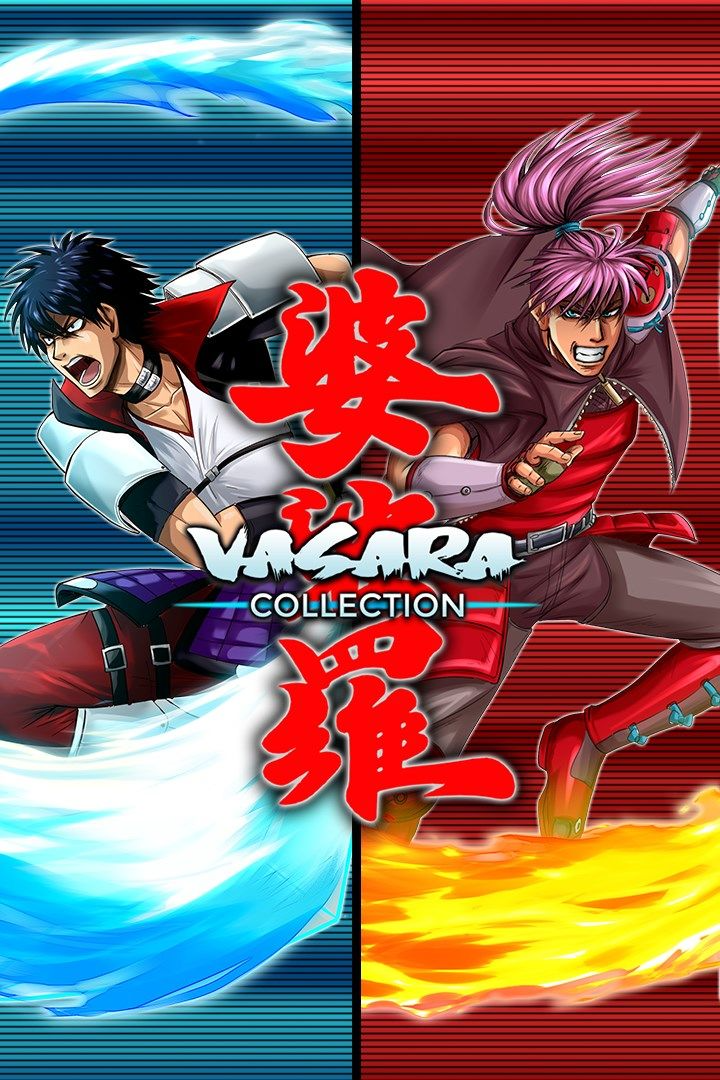 VASARA Collection game cover