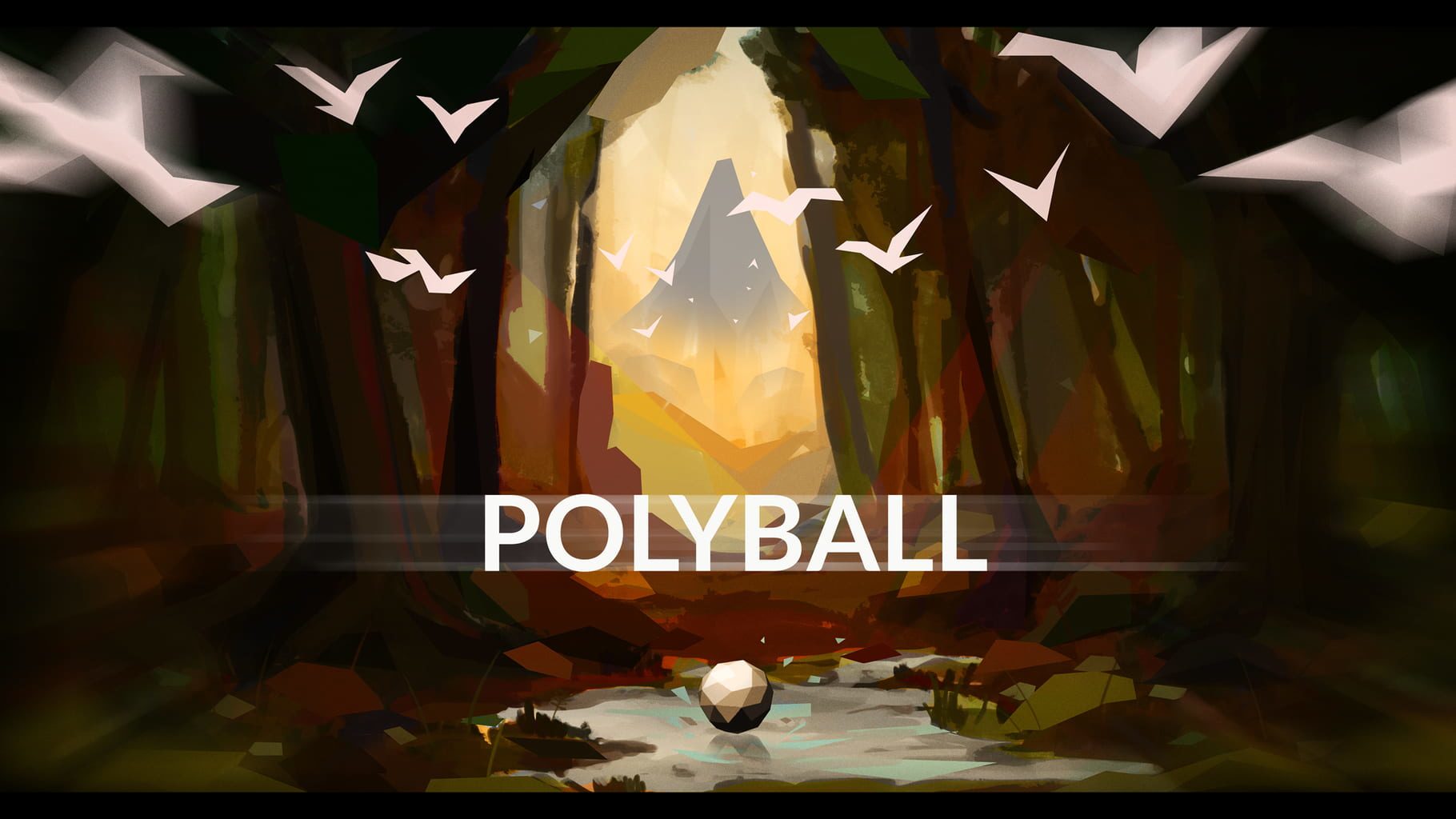 Polyball game cover