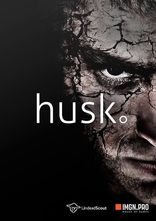 Husk game cover