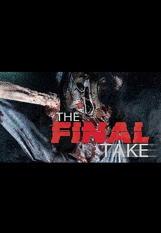 The Final Take game cover