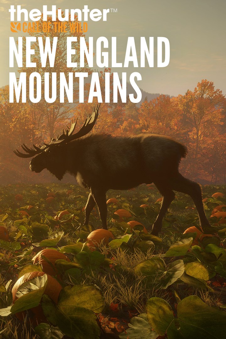 theHunter Call of the Wild - New England Mountains