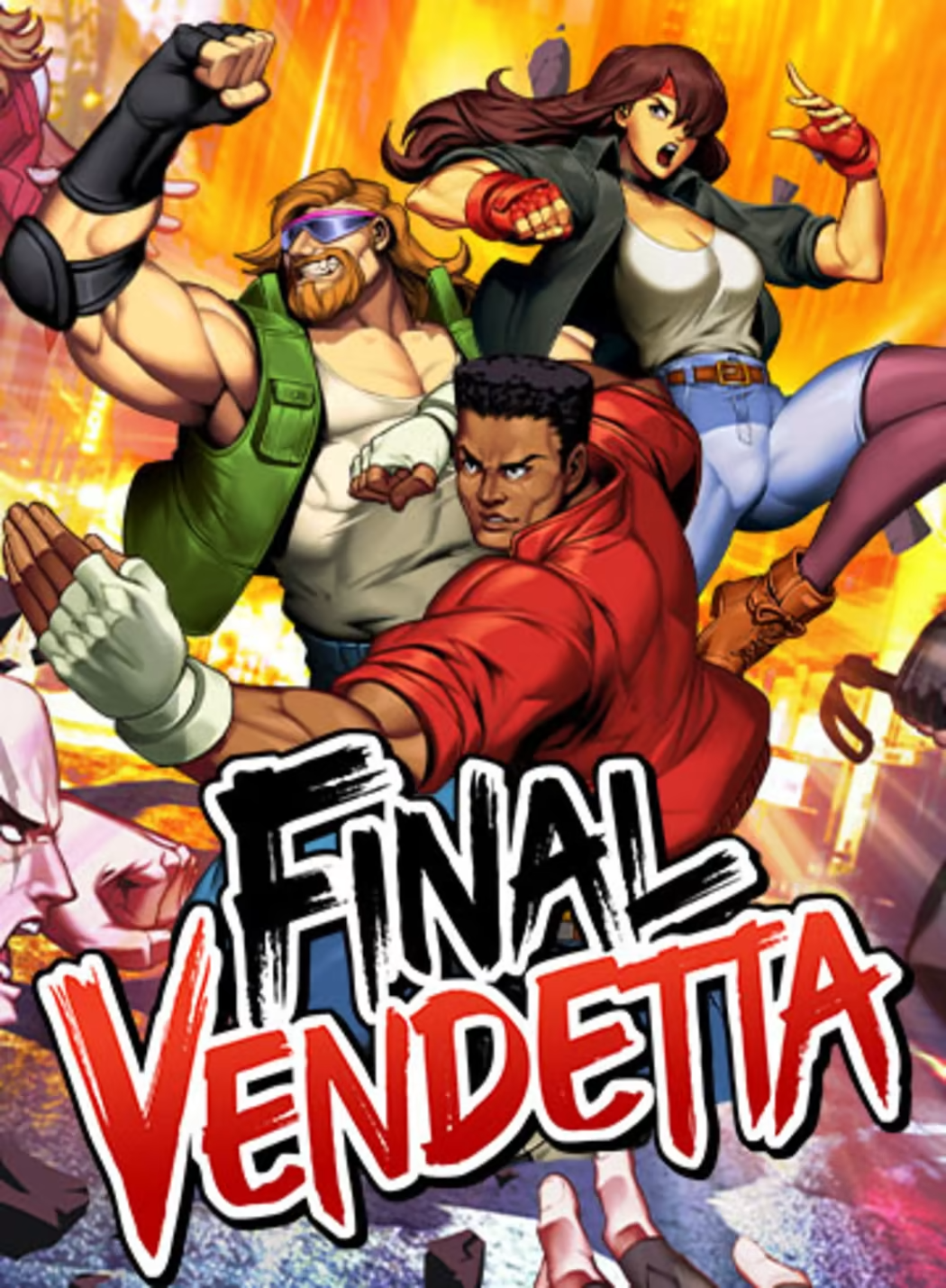 Final Vendetta game cover