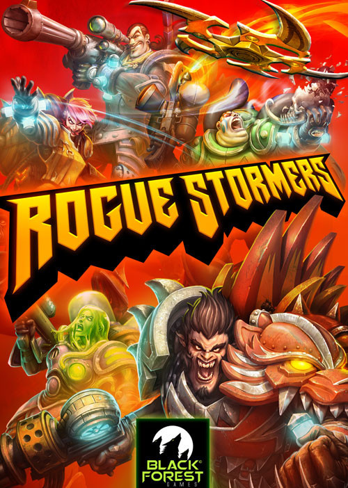 Rogue Stormers game cover
