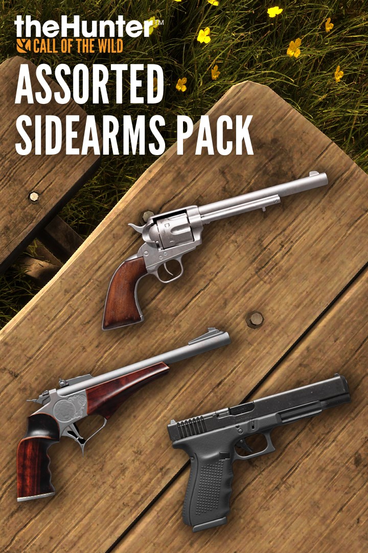 theHunter Call of the Wild™ - Assorted Sidearms Pack (DLC)