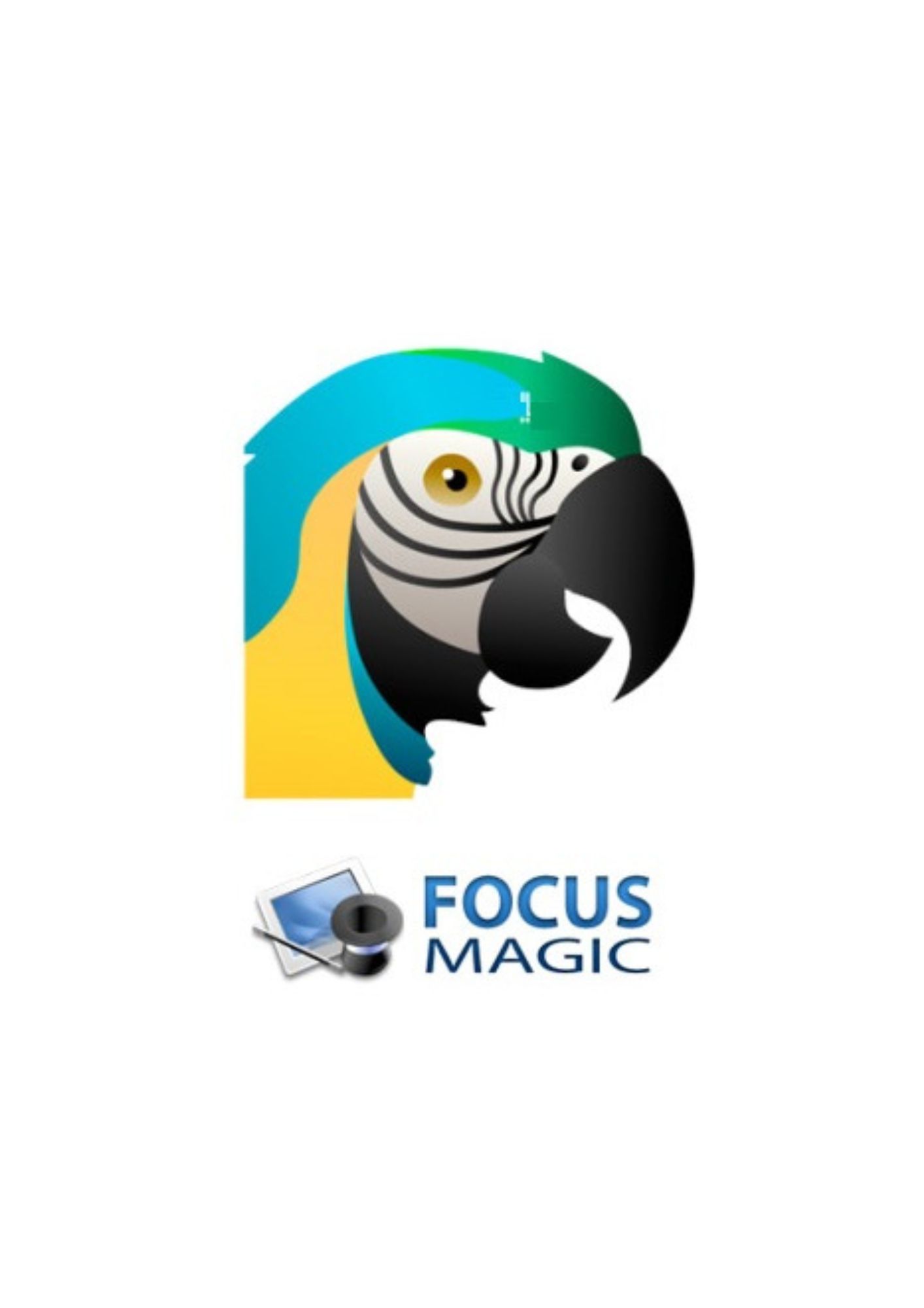 Focus Magic 6 (ENEBA)