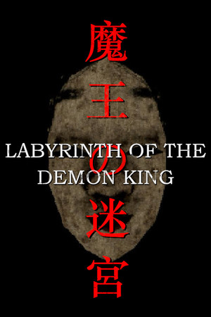 Labyrinth Of The Demon King game cover