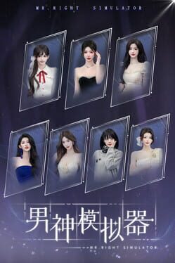 Mr Right Simulator game cover