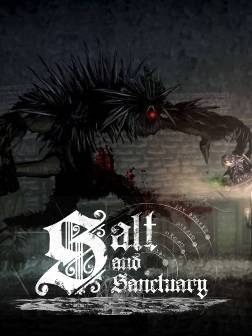 Salt and Sanctuary game cover