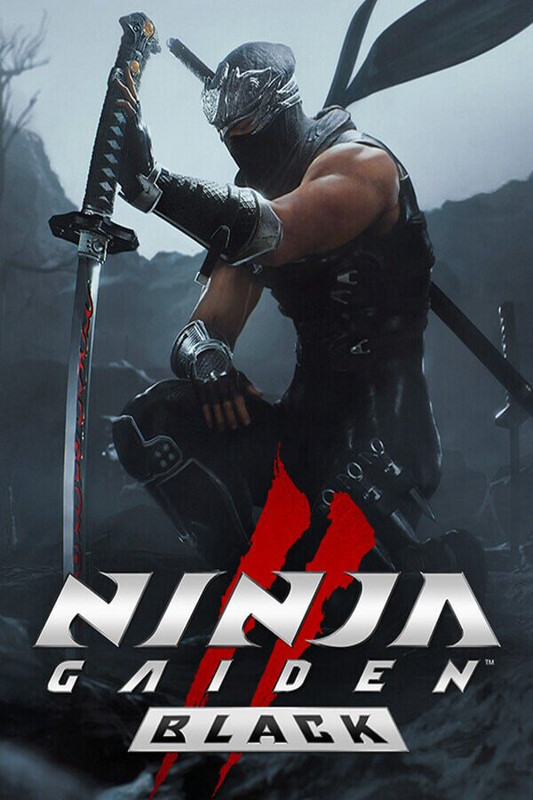 NINJA GAIDEN 2 Black game cover