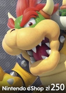 Nintendo eShop Card 250 PLN