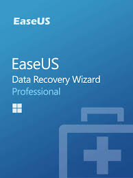 EaseUs Data Recovery Wizard Professional - 1 Device 1 Year Key GLOBAL
