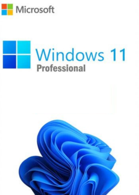 Microsoft Windows 11 Professional
