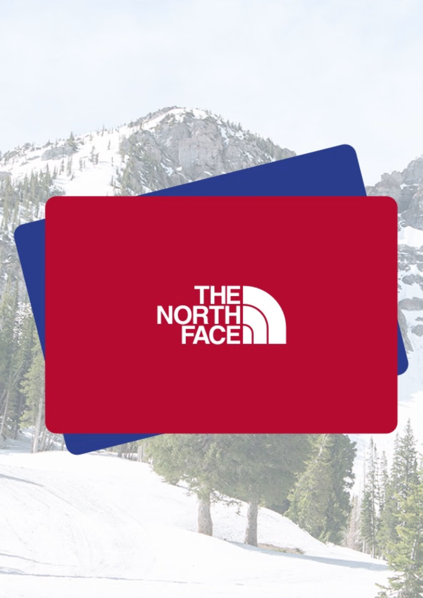 Northface Gift Card 300 AED