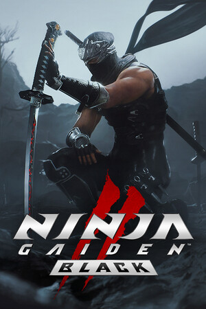 NINJA GAIDEN 2 Black game cover