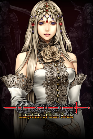 Wizardry: Labyrinth of Lost Souls game cover