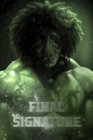 Final Signature game cover