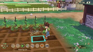 Story of Seasons: A Wonderful Life Nintendo Switch