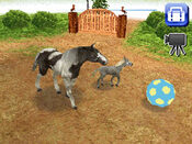 Petz Horseshoe Ranch Nintendo DS