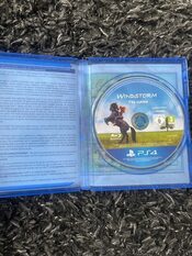 Windstorm: Start of a Great Friendship PlayStation 4