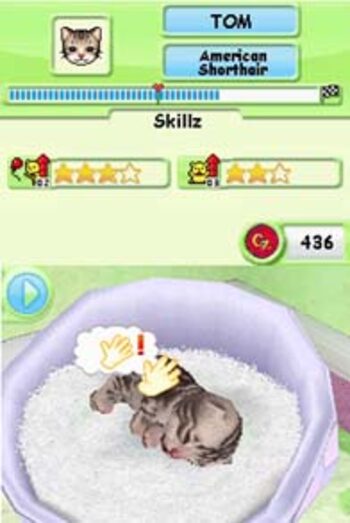 Petz Kittens Nintendo DS