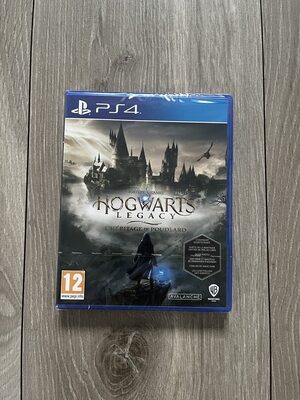 Hogwarts Legacy PlayStation 4