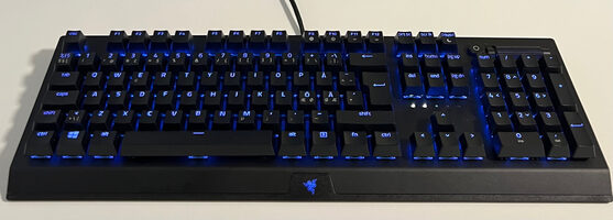 Razer Blackwidow V3 